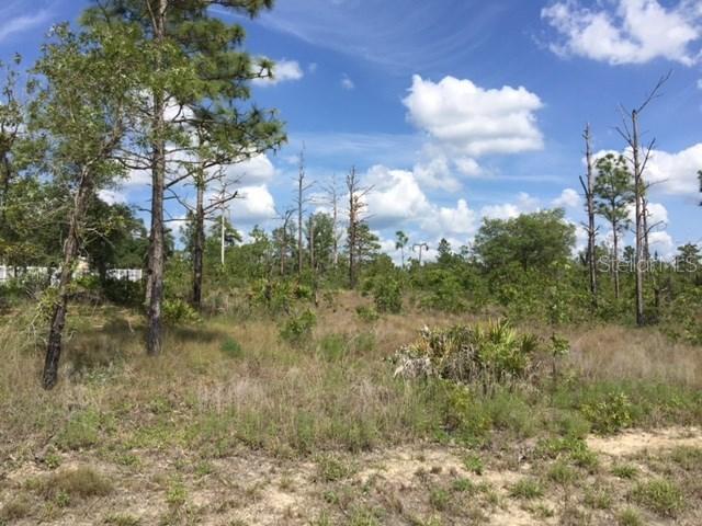 15376 Fleetwood Rd., Weeki Wachee, FL 34614