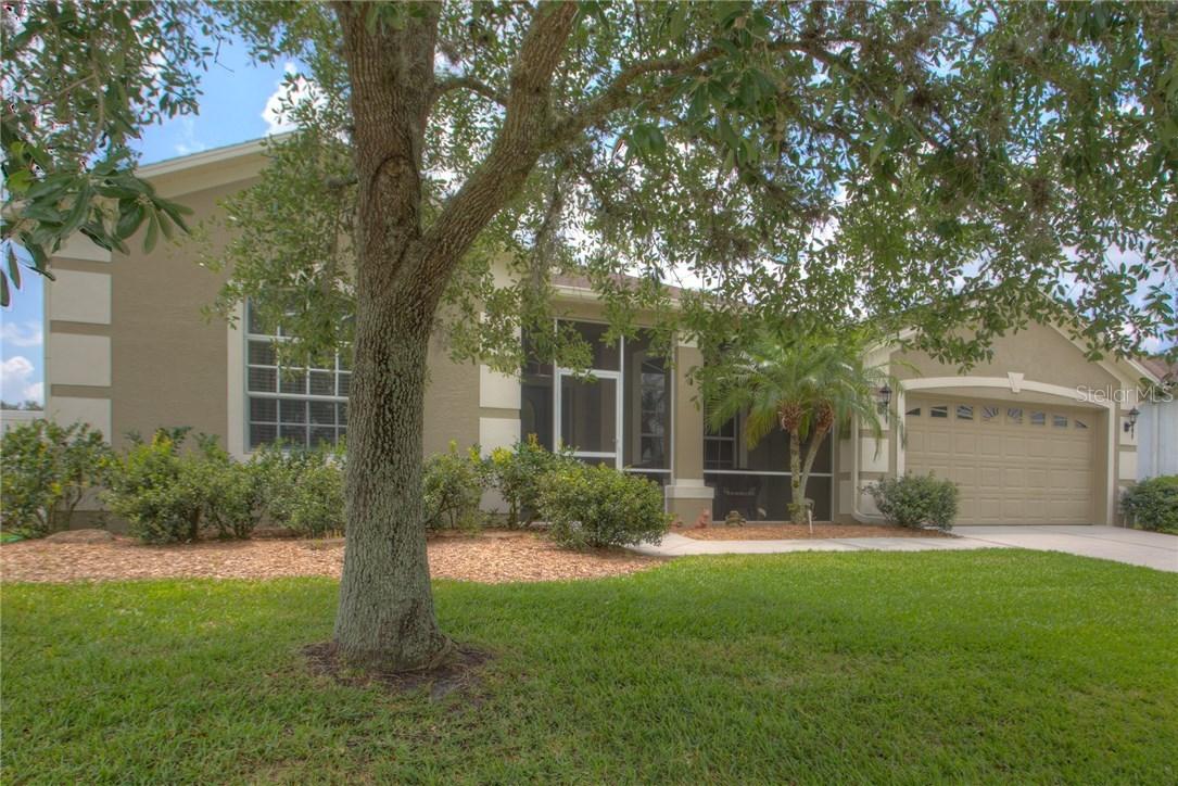 24924 Blazing Trail Way, Land O Lakes, FL 34639