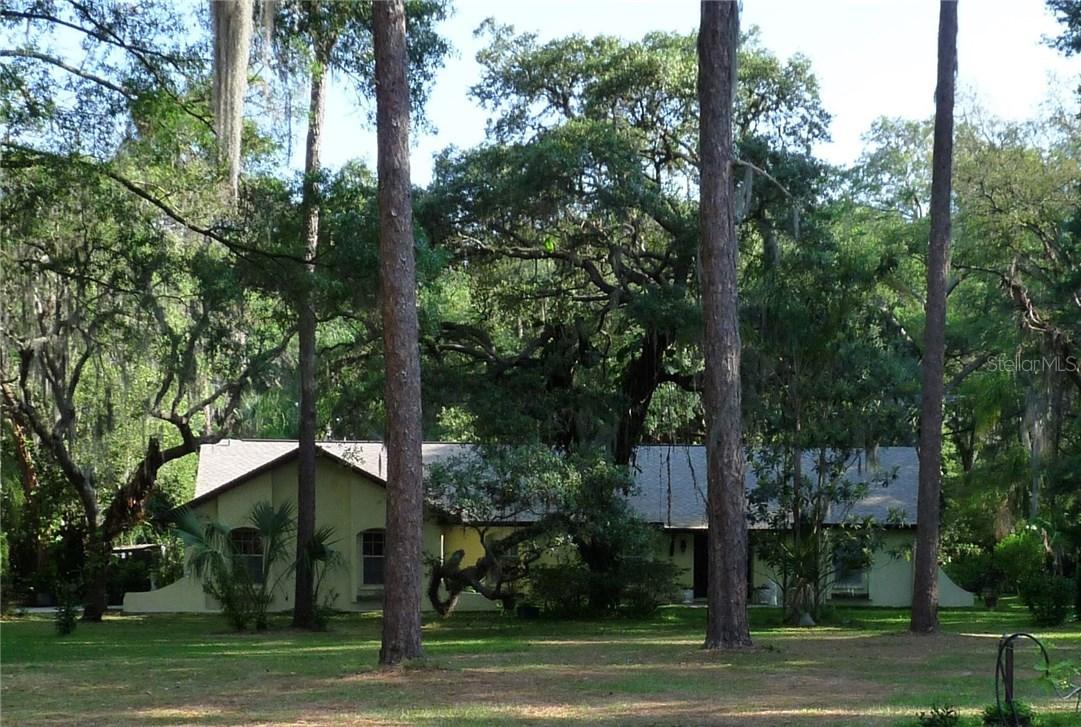 3212 Little Rd., Valrico, FL 33596
