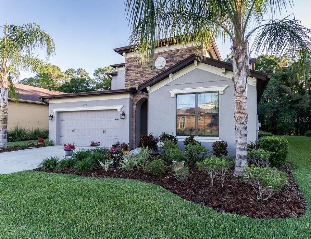 32138 Garden Alcove Loop, Wesley Chapel, FL 33545