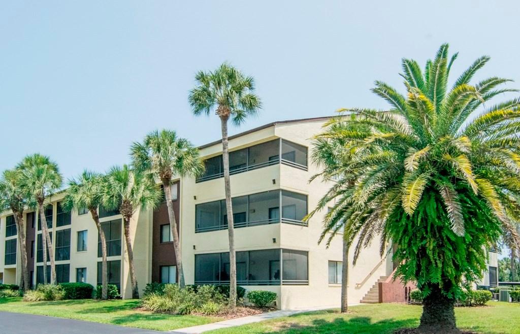 13604 S Village Dr. #311, Tampa, FL 33618