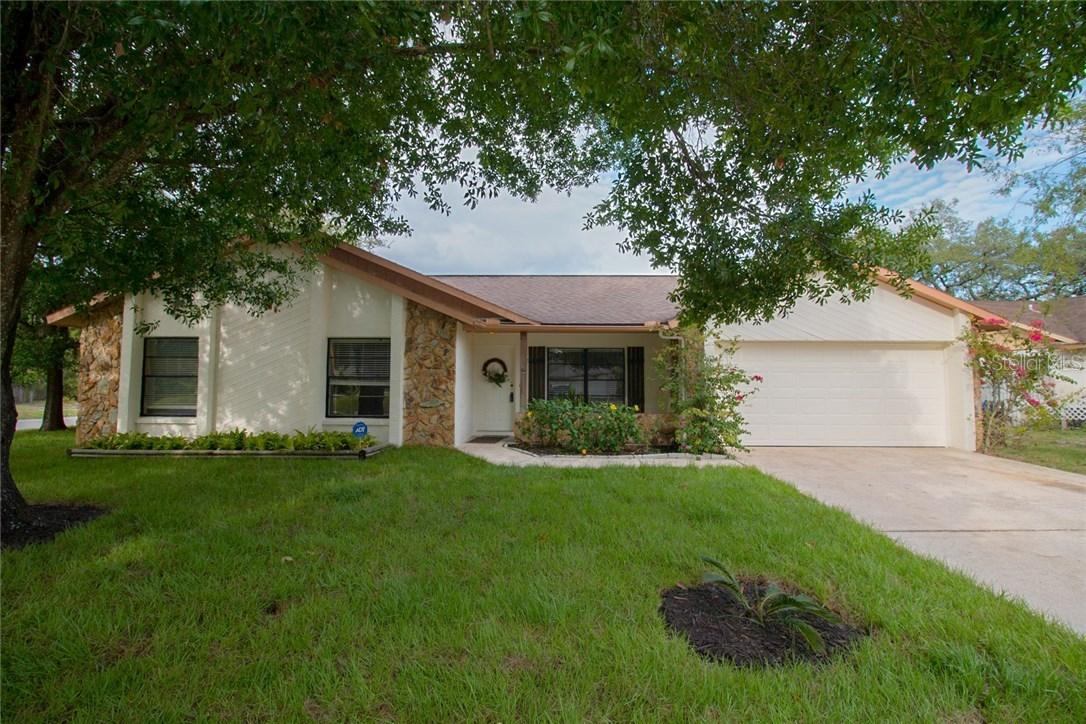 4223 Spring Way Creek, Valrico, FL 33596