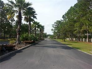 8548 Spring Forest Ln., Wesley Chapel, FL 33544