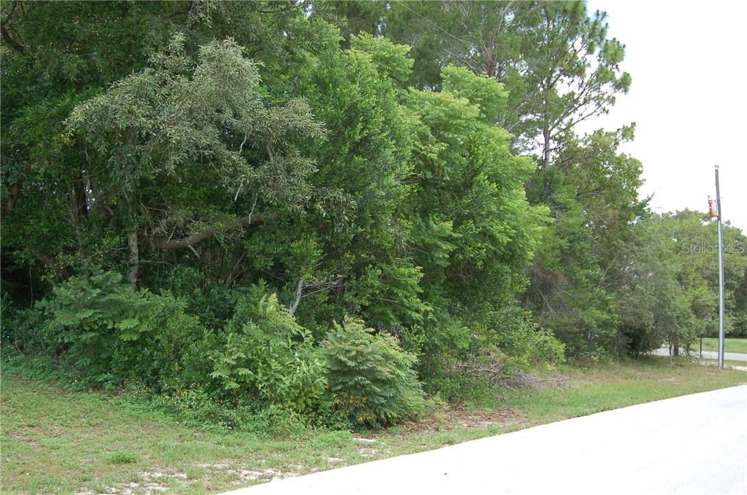 11616 Trumbull Dr., Spring Hill, FL 34609