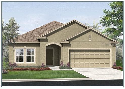 1916 Odiorne Point, Wesley Chapel, FL 33543