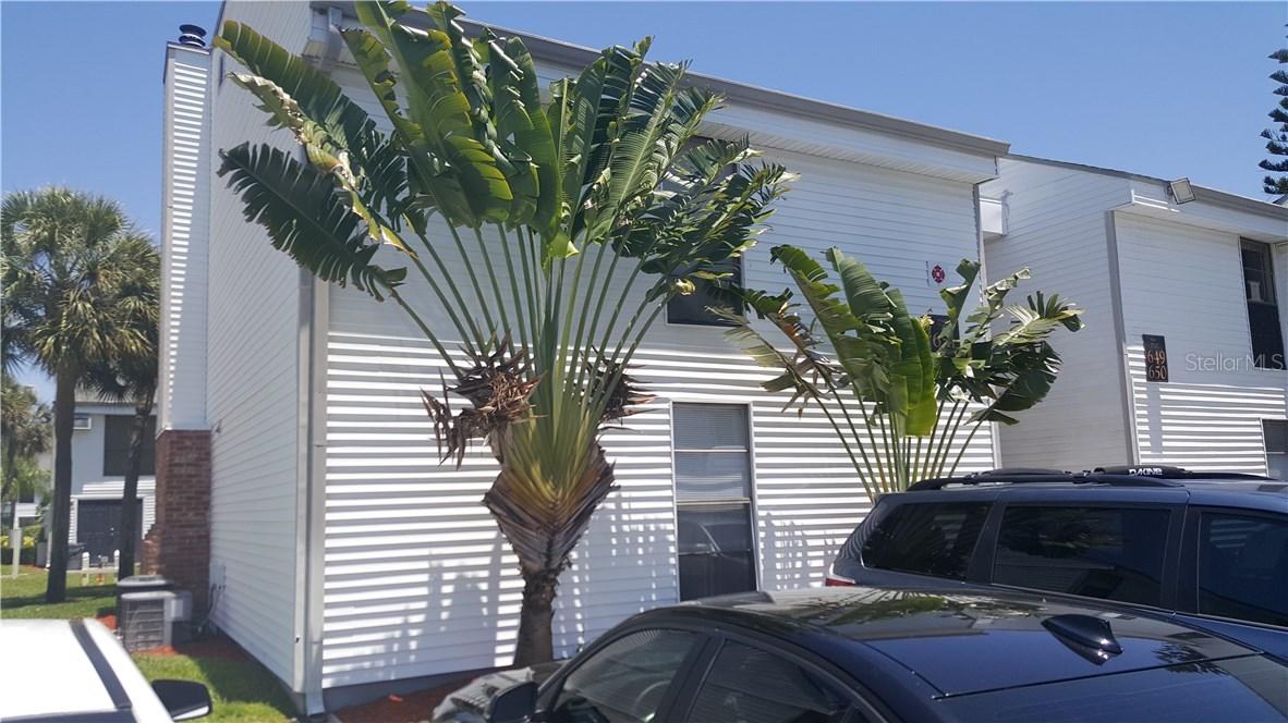 649 Haven Pl., Tarpon Springs, FL 34689