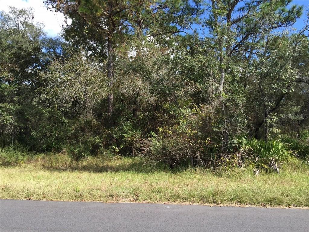 11386 Linnet Rd., Weeki Wachee, FL 34614