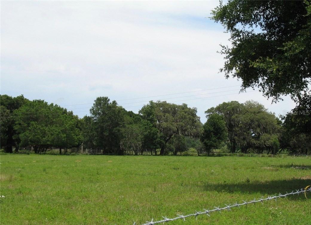 2009 N Kingsway Rd., Seffner, FL 33584