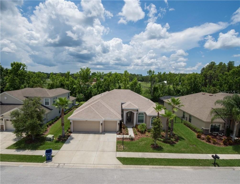 15042 Man O War Dr., Odessa, FL 33556
