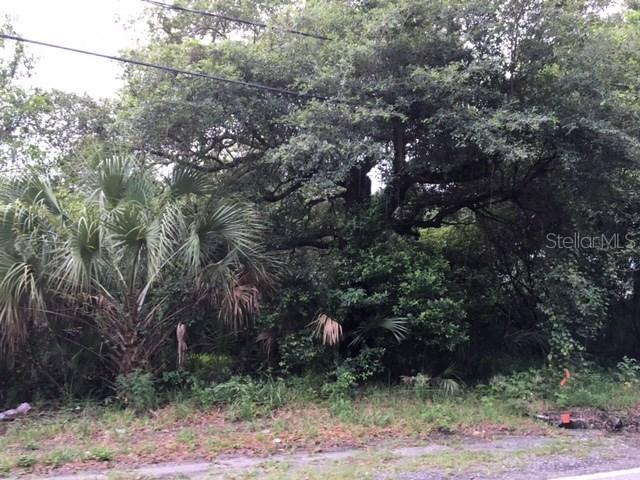 15417 Livingston Ave., Lutz, FL 33559