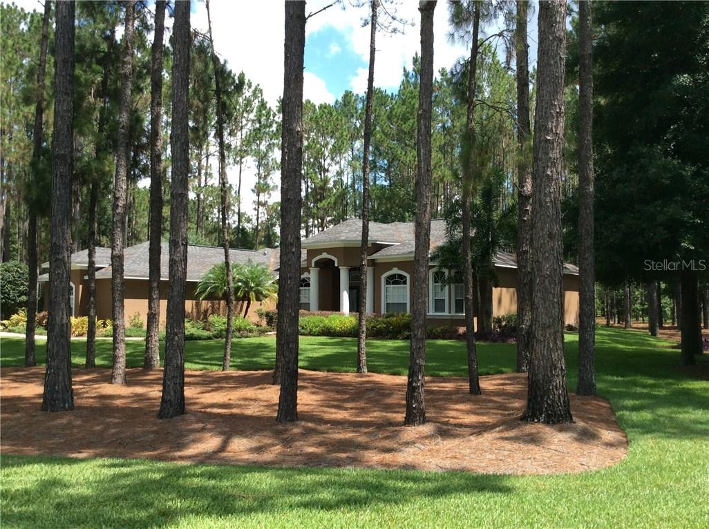 417 Pine Bluff Dr., Lutz, FL 33549