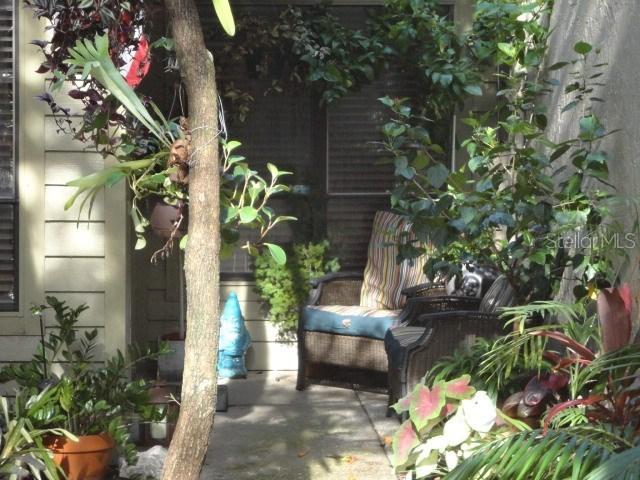11415 Galleria Dr., Tampa, FL 33618