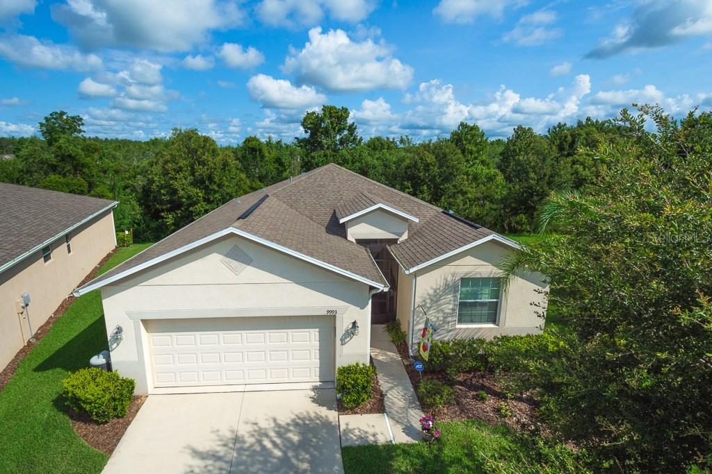 9993 Semiahmoo Loop, San Antonio, FL 33576