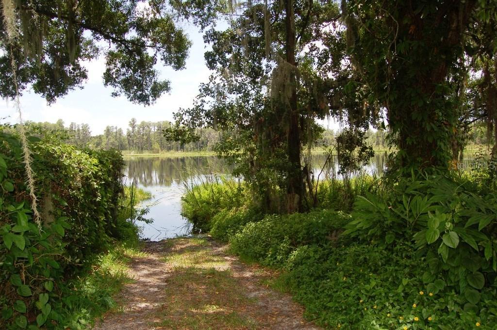 Blount Road, Lutz, FL 33558