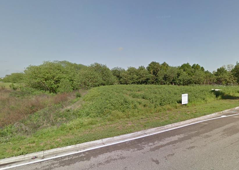 Williams Rd., Brandon, FL 33510