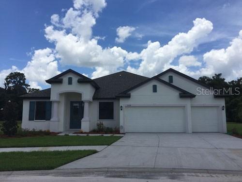11008 Brahman Ranch Cir., Riverview, FL 33578