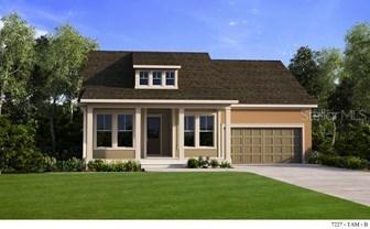 14735 Caravan Ave., Odessa, FL 33556