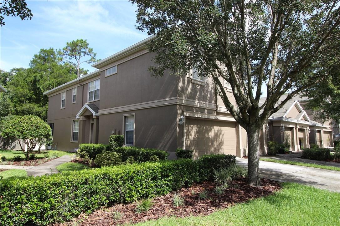 4202 Bismarck Palm Dr., Tampa, FL 33610