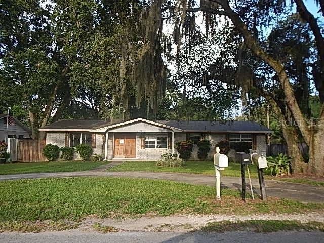 11733 N Ola Ave., Tampa, FL 33612