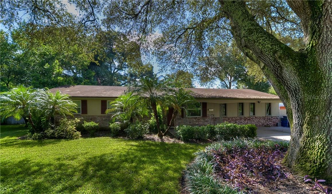 8113 N Ola Ave., Tampa, FL 33604