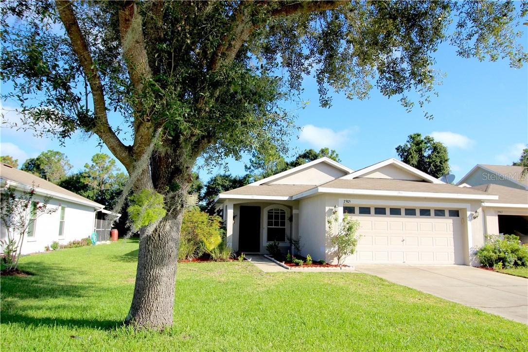7905 Citrus Blossom Dr., Land O Lakes, FL 34637