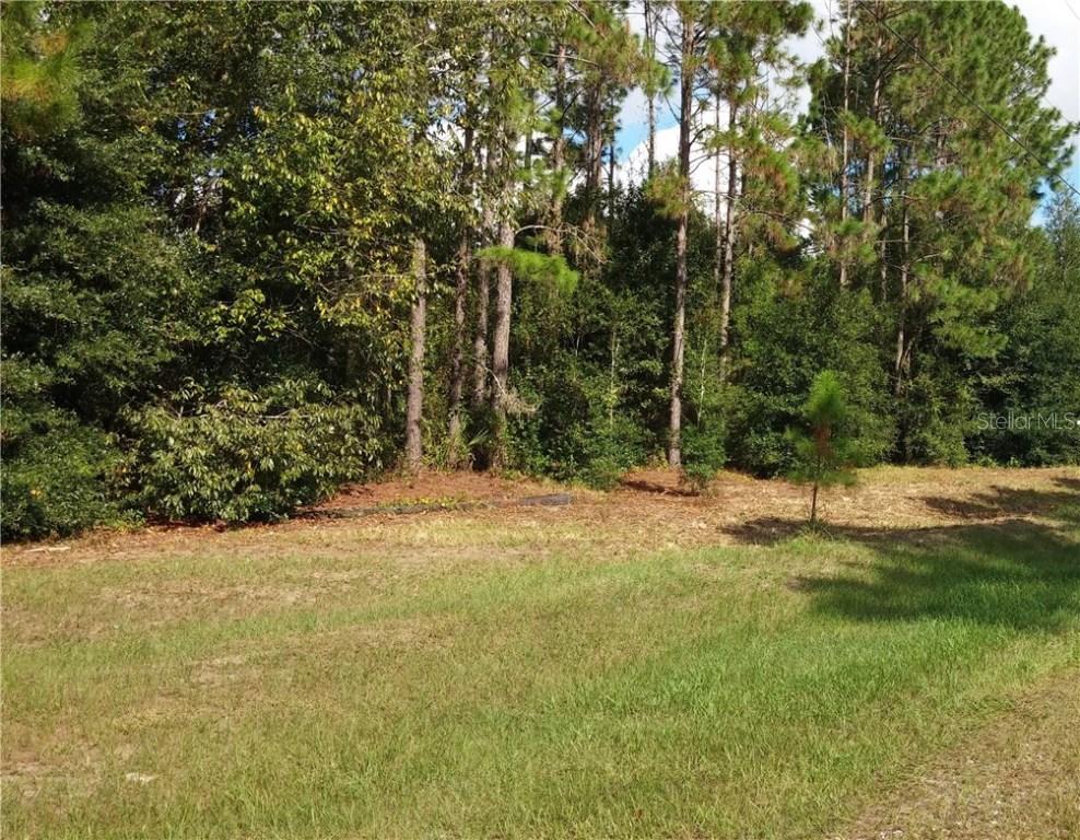 6708 Peyton Dr., Seffner, FL 33584