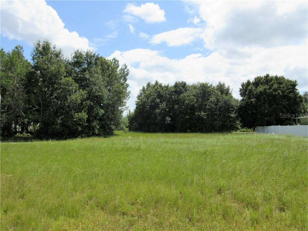 12001 Shadow Run Blvd., Riverview, FL 33569