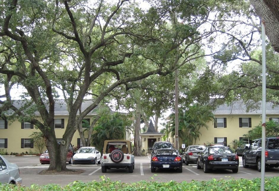 5221 Bayshore Blvd. #29, Tampa, FL 33611