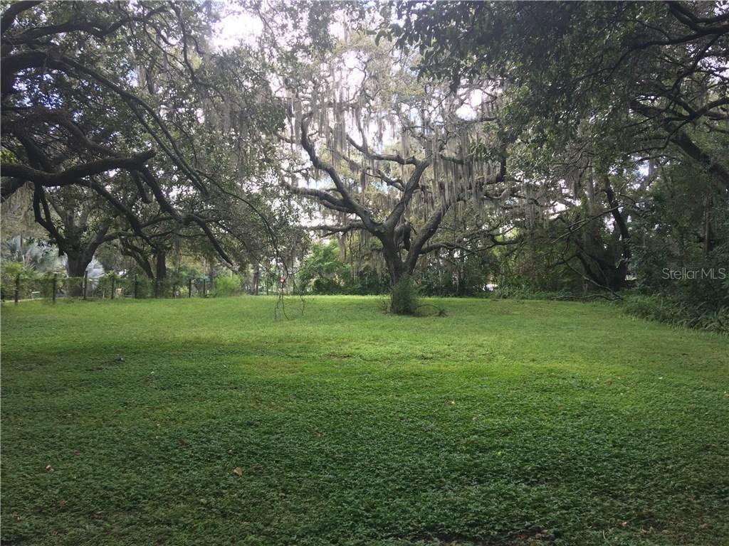 12506 N Boulevard St., Tampa, FL 33612