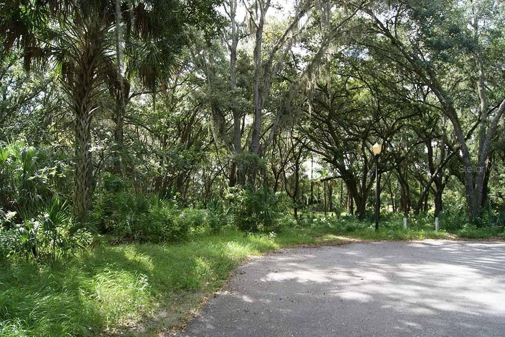 3316 W Chase Jackson Branch, Lutz, FL 33559