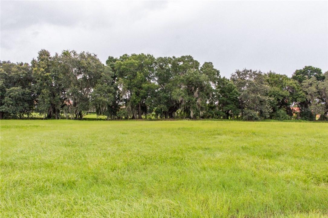 2704 Heavenly Ct., Lutz, FL 33559