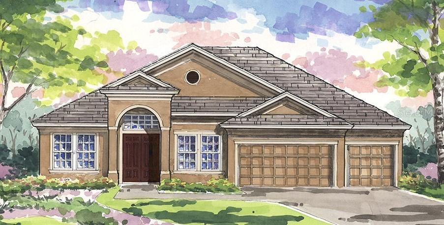 32501 Goddard Dr., Wesley Chapel, FL 33543