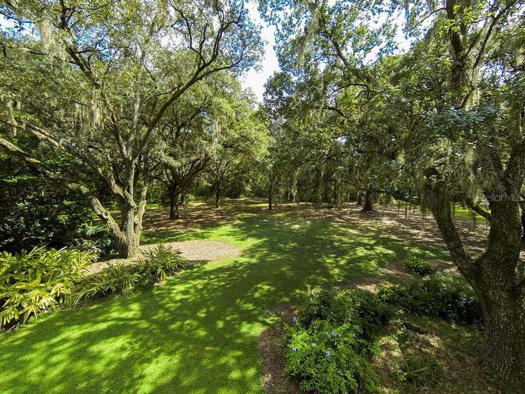 16545 Hanna Rd., Lutz, FL 33549