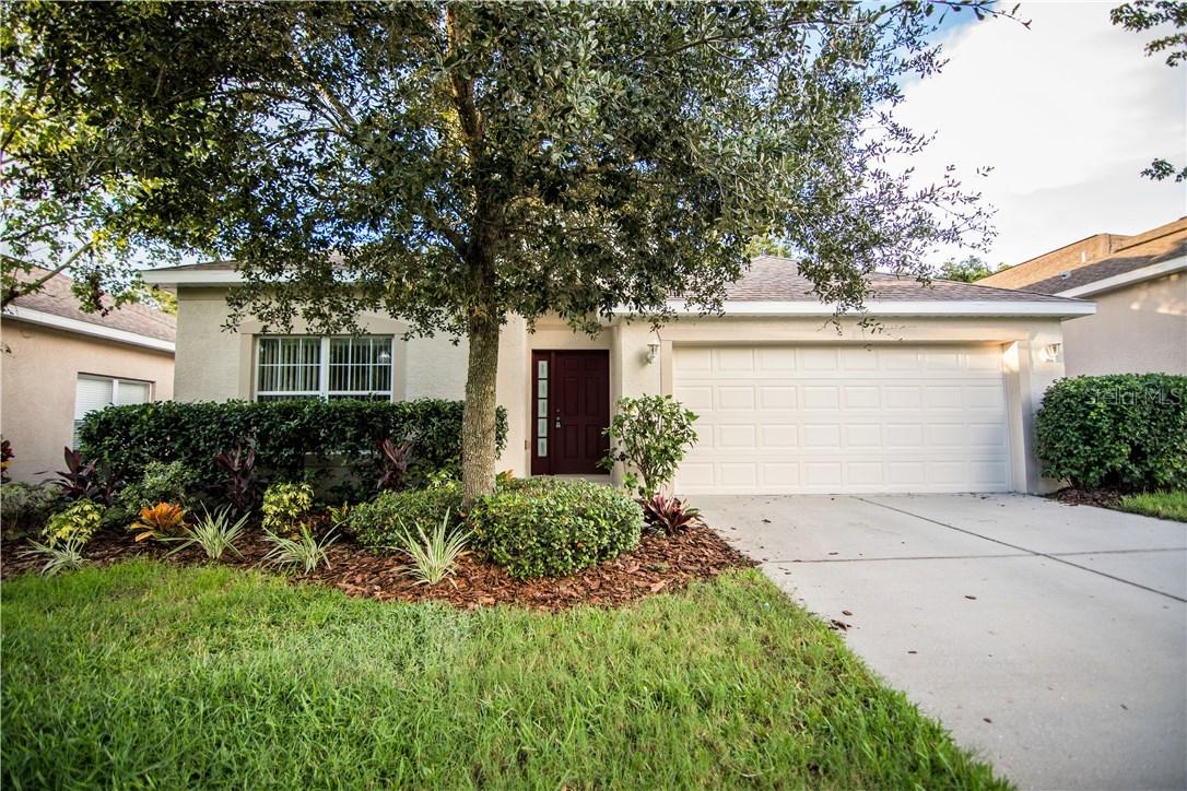 1176 Emerald Hill Way, Valrico, FL 33594