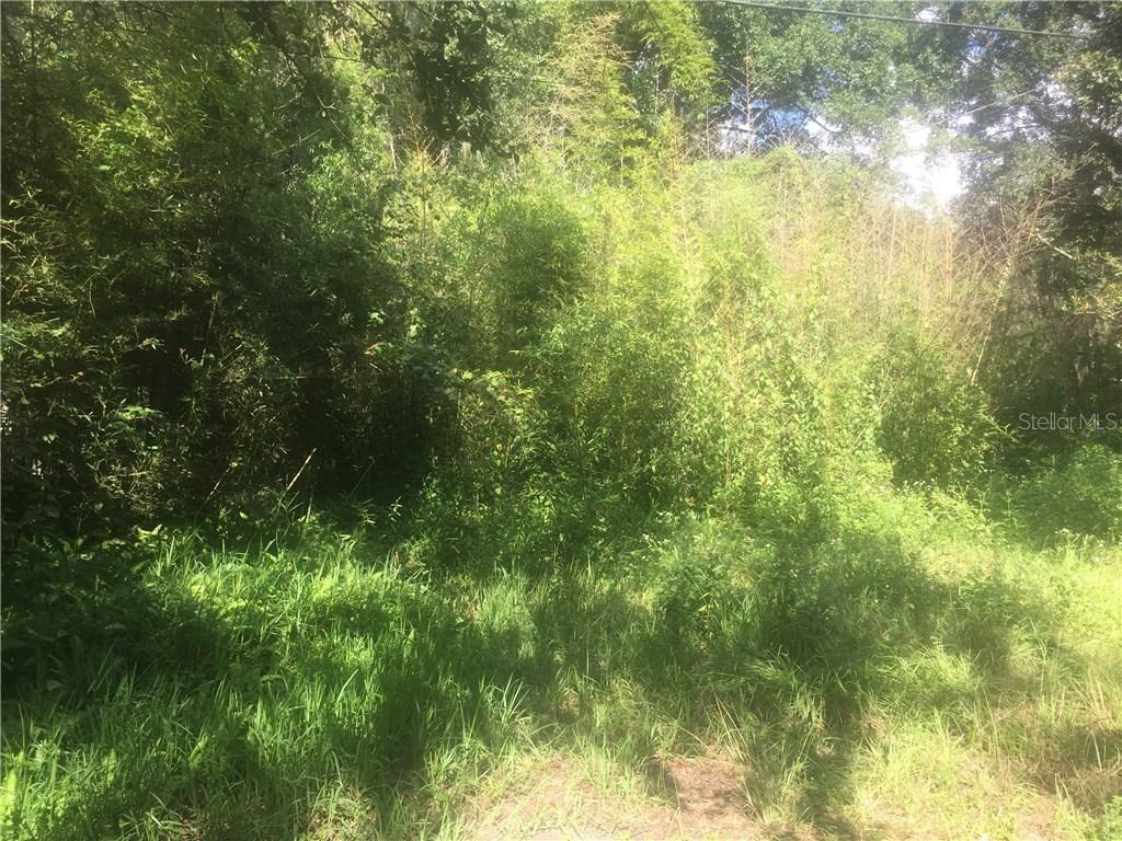 9998 E Wilder Ave., Tampa, FL 33610