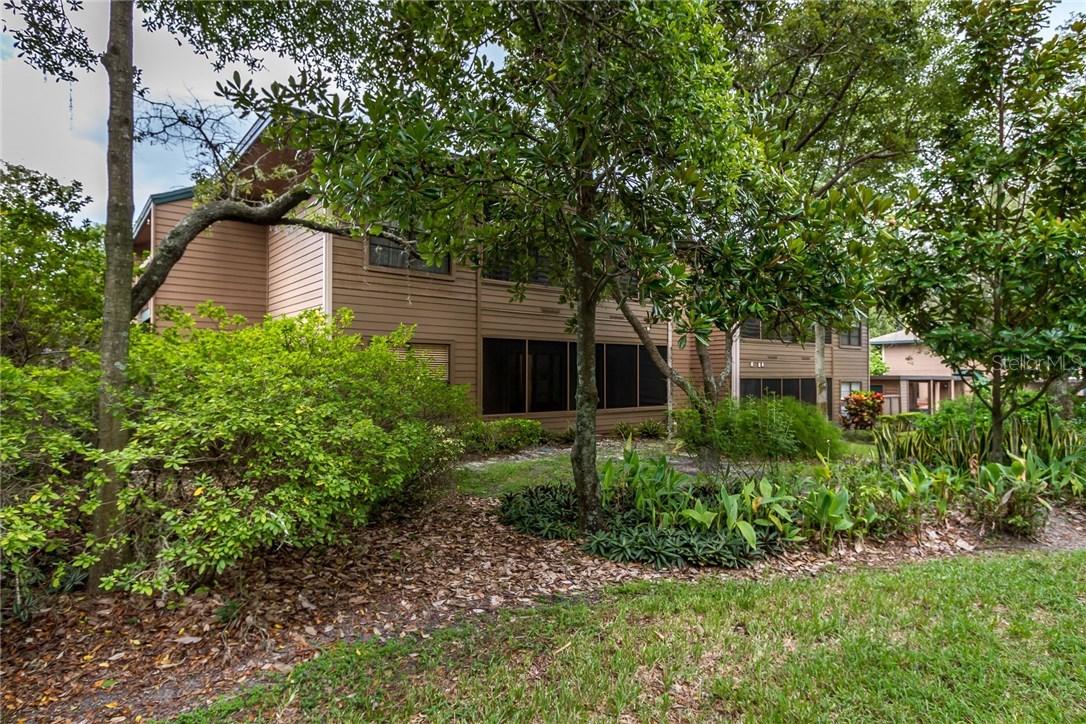 2101 Lennox Rd., Palm Harbor, FL 34683