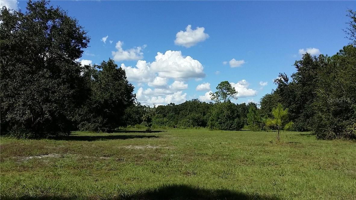 9905 Harold Bedford Rd., Riverview, FL 33578