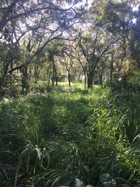 16222 Livingston Ave., Lutz, FL 33559