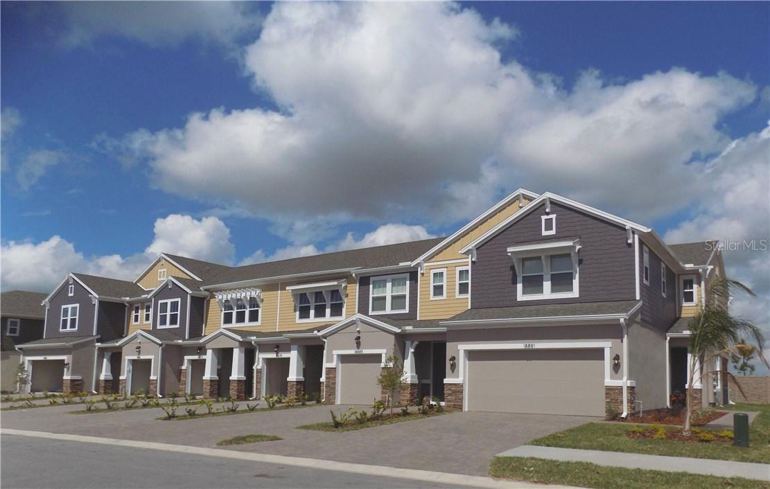 18861 Ulmus St. #1910, Lutz, FL 33558