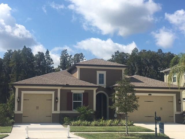 1831 Hidden Springs Dr., Trinity, FL 34655