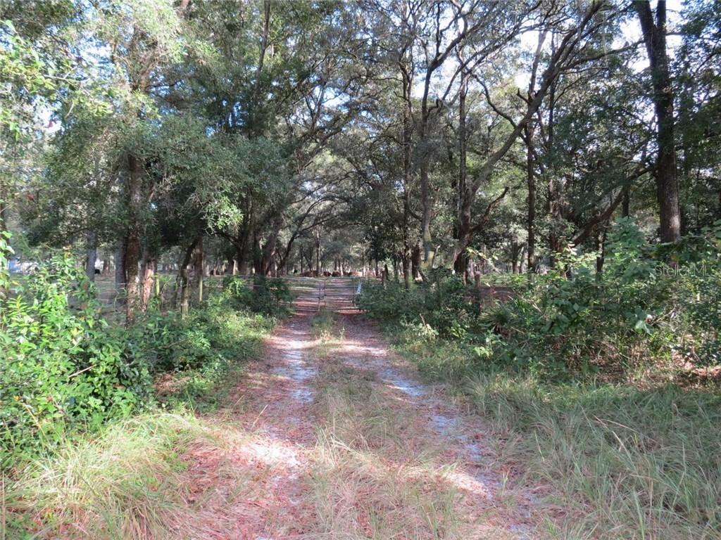 Benes Roush Rd., Brooksville, FL 34604