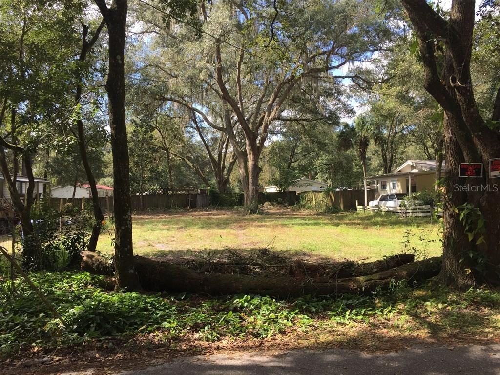 19212 Livengood Rd., Lutz, FL 33559