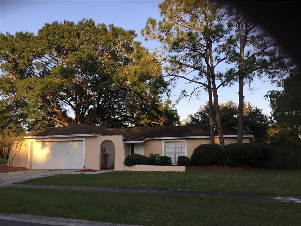17727 Morninghigh Dr., Lutz, FL 33549