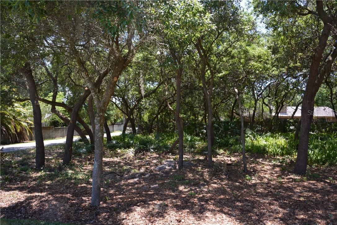 Division St., Oviedo, FL 32765