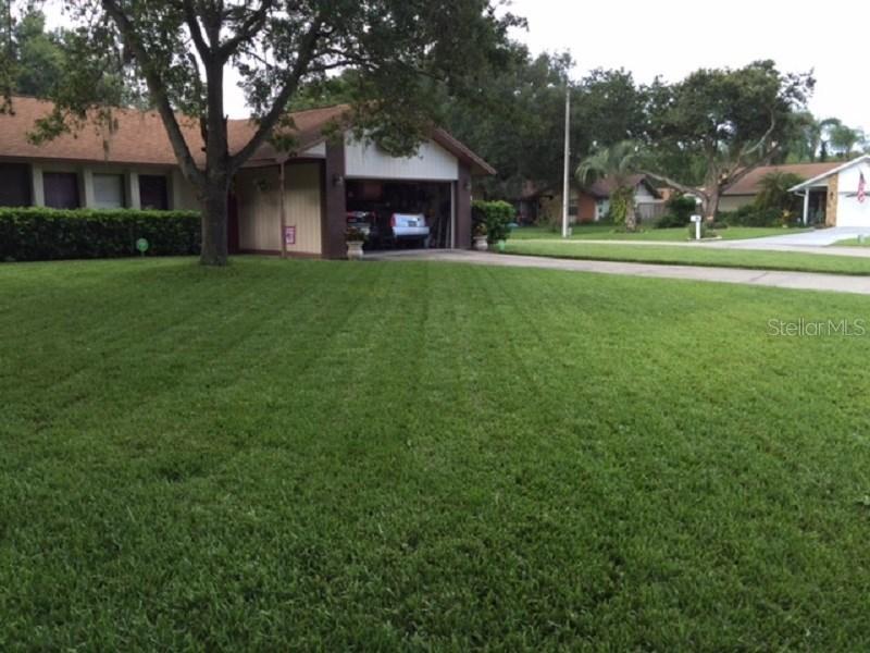 1816 Dove Field Pl., Brandon, FL 33510