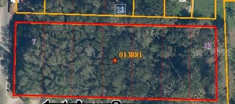 XXXXX 1st Ave., Lutz, FL 33549