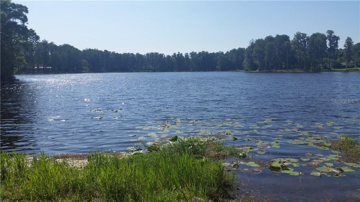 3517 Saddle Back Ln., Lutz, FL 33548