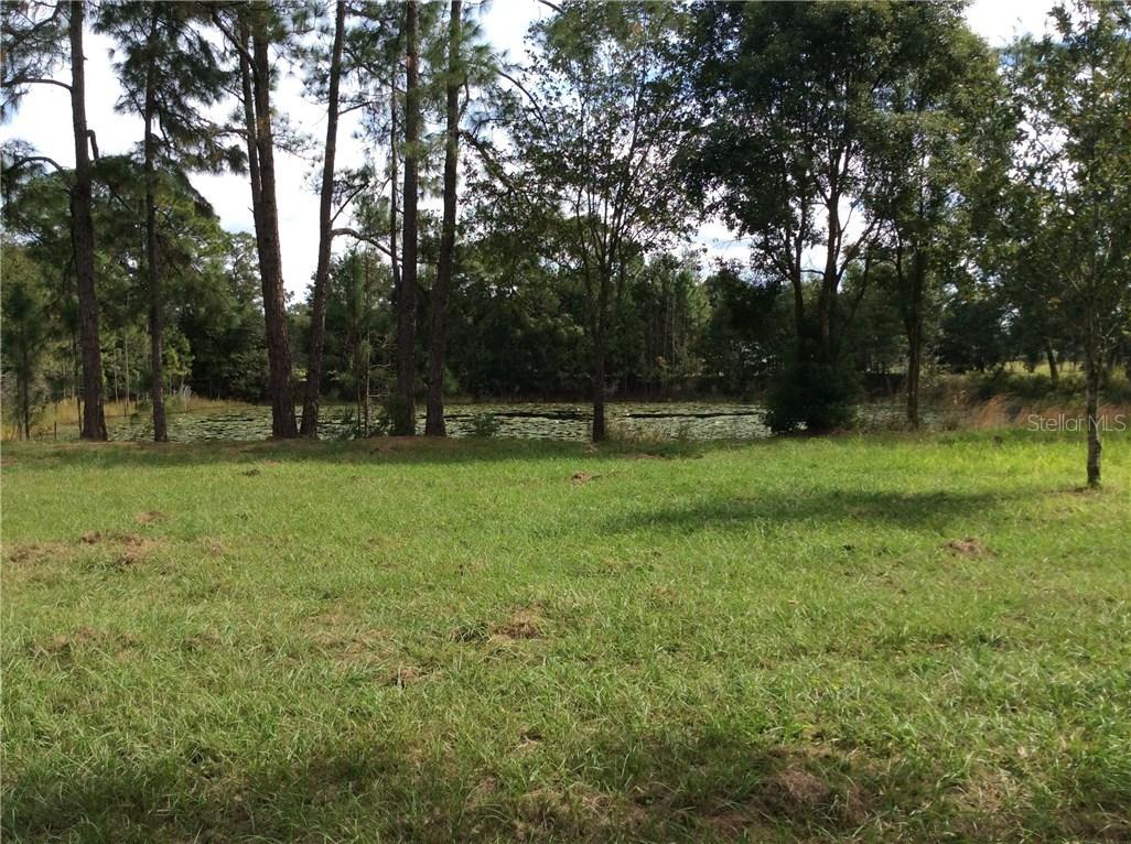 Green Meadow Dr., Lutz, FL 33549