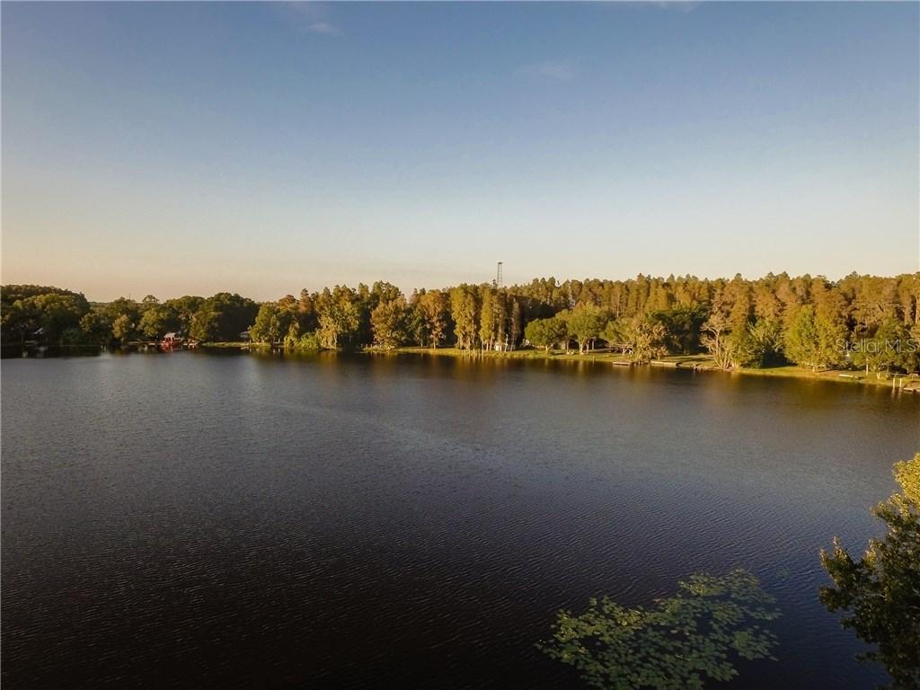 14713 Alberton Ln., Odessa, FL 33556