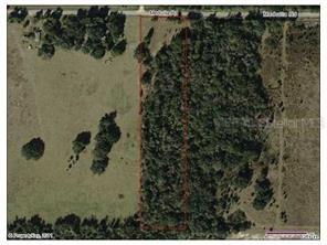 Medulla Rd., Lakeland, FL 33811